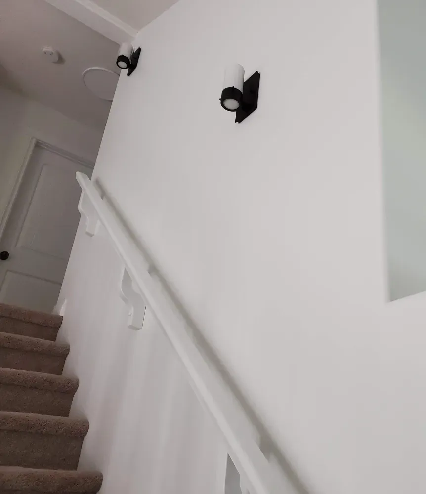 interior house painter